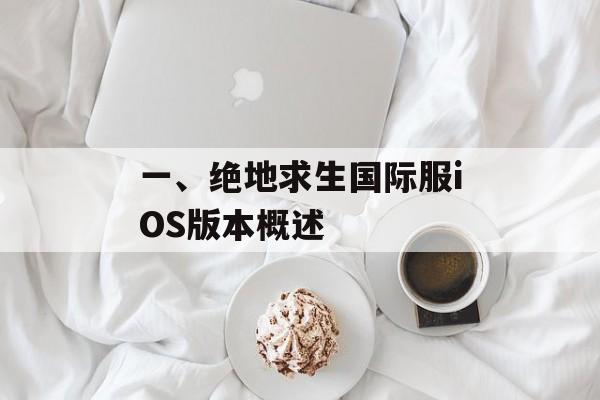 一、绝地求生国际服iOS版本概述