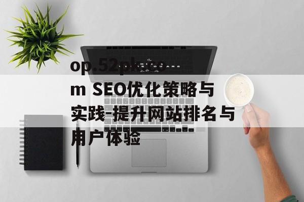 op.52pk.com SEO优化策略与实践-提升网站排名与用户体验