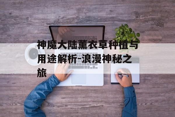 神魔大陆薰衣草种植与用途解析-浪漫神秘之旅 神魔大陆薰衣草种植与用途解析-浪漫神秘之旅