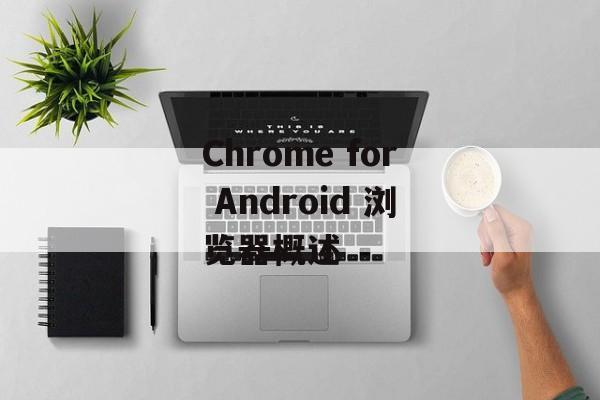 Chrome for Android 浏览器概述