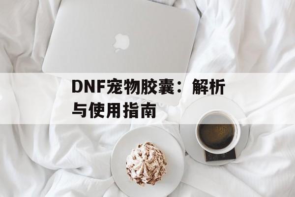 DNF宠物胶囊:解析与使用指南 DNF宠物胶囊:解析与使用指南