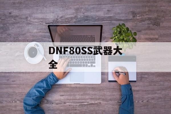 DNF80SS武器大全