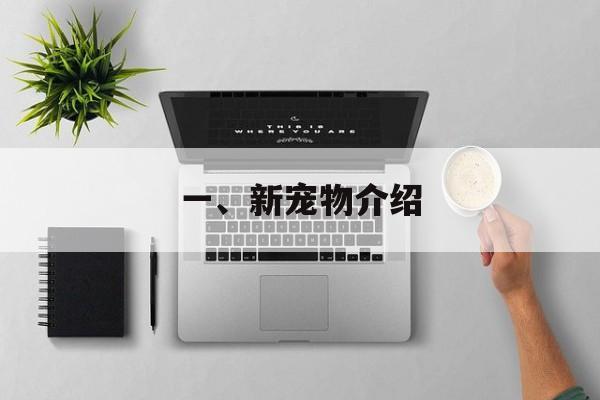 一、新宠物介绍 一、新宠物介绍
