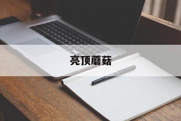 亮顶蘑菇 亮顶蘑菇