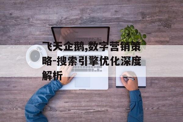 飞天企鹅,数字营销策略-搜索引擎优化深度解析 飞天企鹅,数字营销策略-搜索引擎优化深度解析
