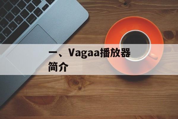 一、Vagaa播放器简介