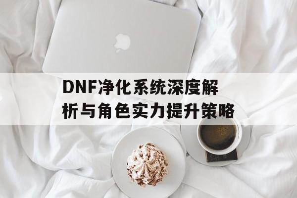 DNF净化系统深度解析与角色实力提升策略