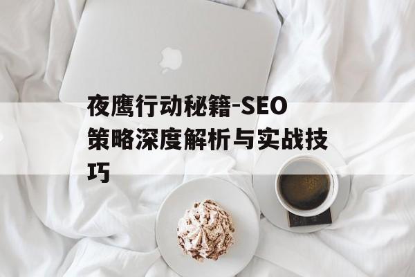 夜鹰行动秘籍-SEO策略深度解析与实战技巧