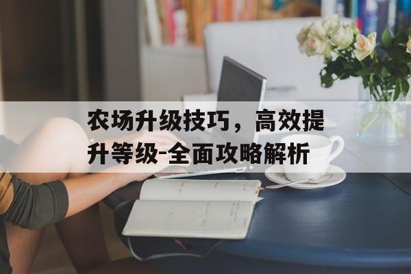 农场升级技巧，高效提升等级-全面攻略解析
