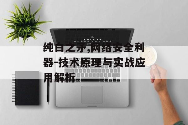 纯白之矛,网络安全利器-技术原理与实战应用解析