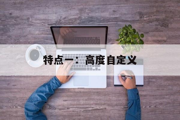 特点一:高度自定义 特点一:高度自定义