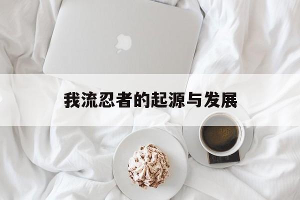 我流忍者的起源与发展 我流忍者的起源与发展