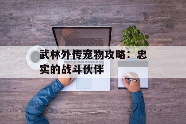 武林外传宠物攻略：忠实的战斗伙伴