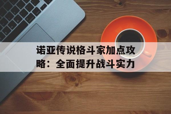 诺亚传说格斗家加点攻略：全面提升战斗实力