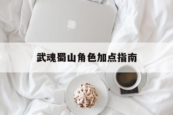 武魂蜀山角色加点指南