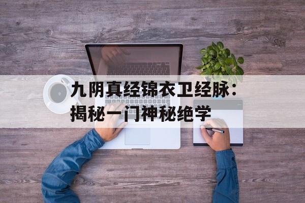九阴真经锦衣卫经脉：揭秘一门神秘绝学