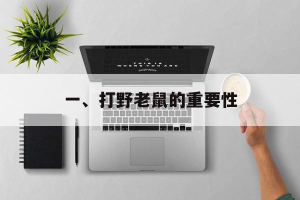一、打野老鼠的重要性