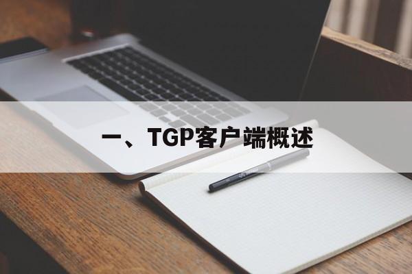 一、TGP客户端概述 一、TGP客户端概述