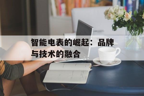 智能电表的崛起：品牌与技术的融合