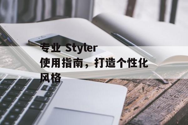 专业 Styler 使用指南,打造个性化风格 专业 Styler 使用指南,打造个性化风格