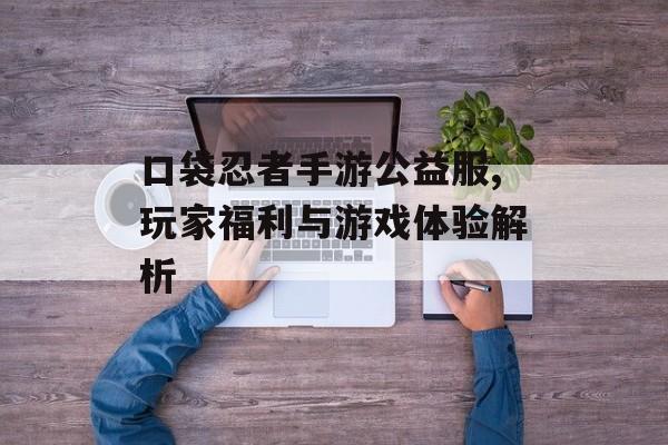 口袋忍者手游公益服,玩家福利与游戏体验解析 口袋忍者手游公益服,玩家福利与游戏体验解析