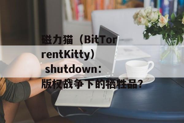 磁力猫（BitTorrentKitty） shutdown：版权战争下的牺牲品？